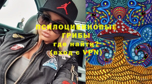 mdpv Арсеньев