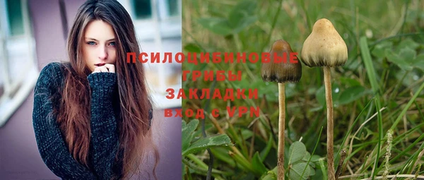 кокс Аркадак
